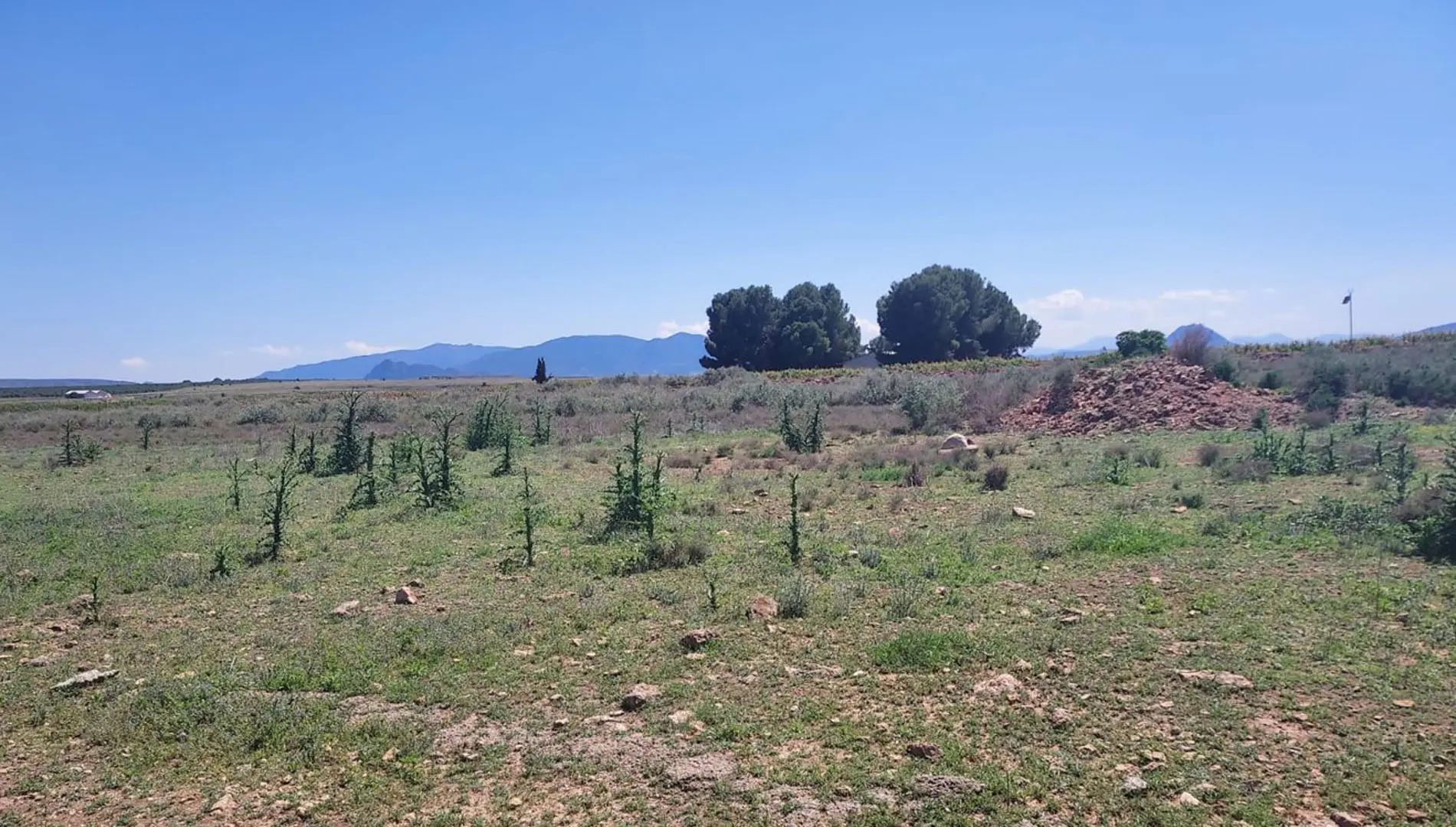  inmobiliaria sanlucar